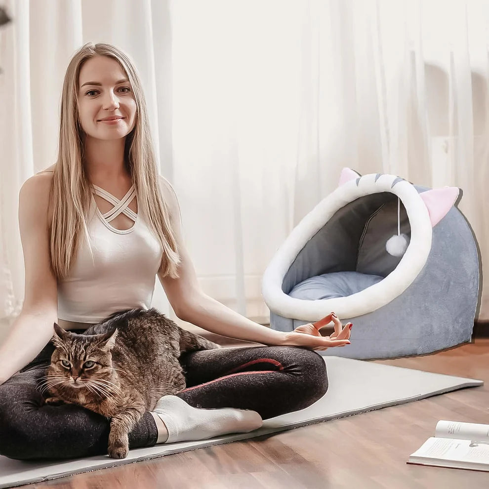 Cat Bed for Indoor Cats (1 Pc)