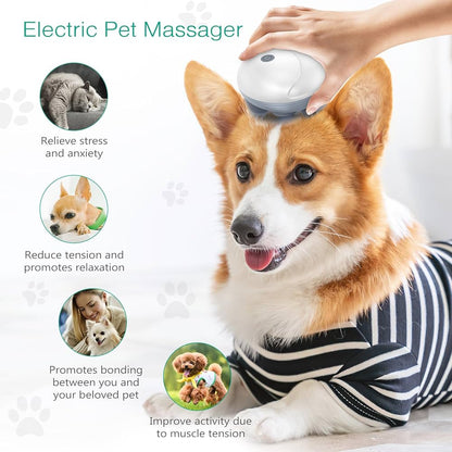 Pet Massager