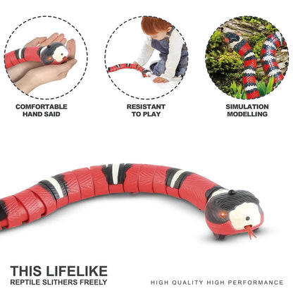 Snake Cat Toy