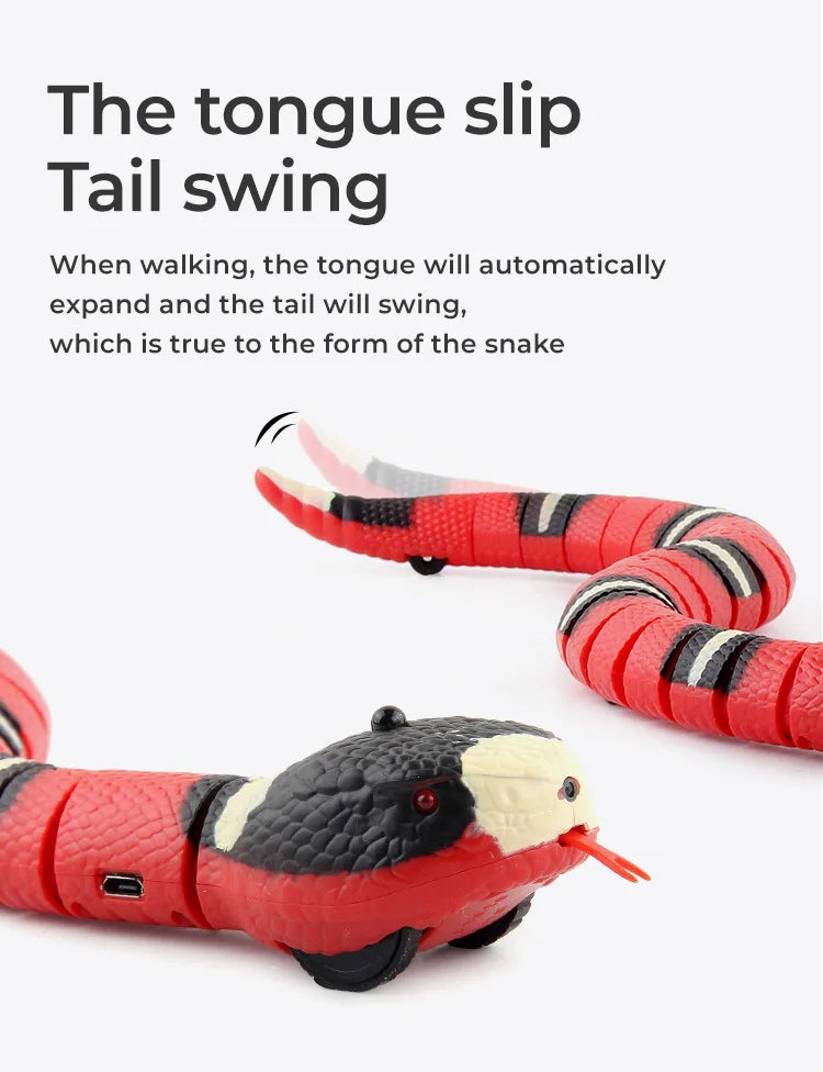 Snake Cat Toy