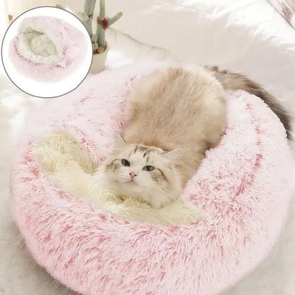 Cream Puff Cat Cave