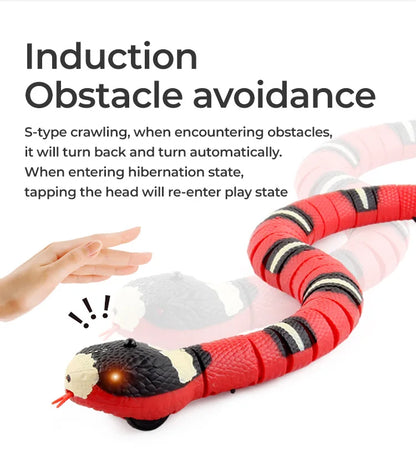 Snake Cat Toy