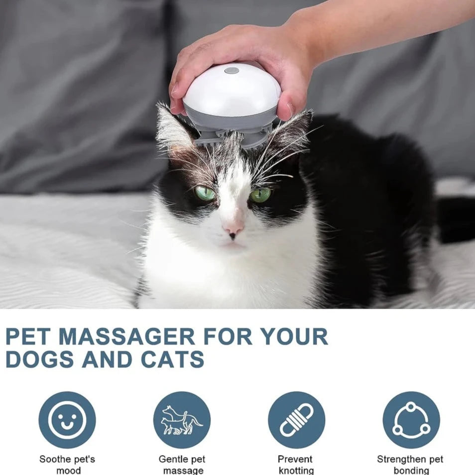 Pet Massager