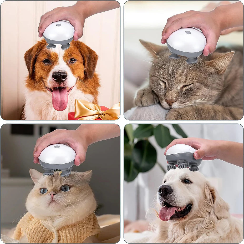 Pet Massager